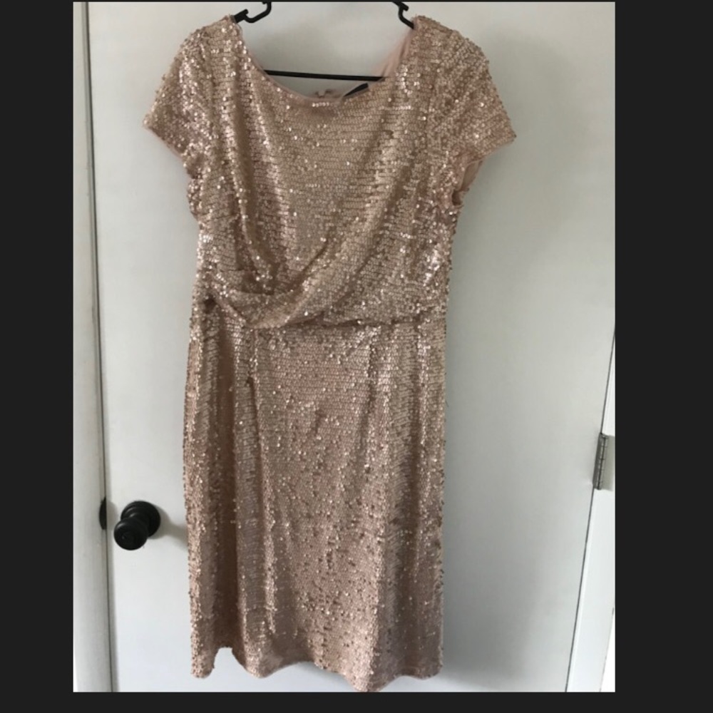 Adrianna Pappell Blush Sequined Cocktail Dress